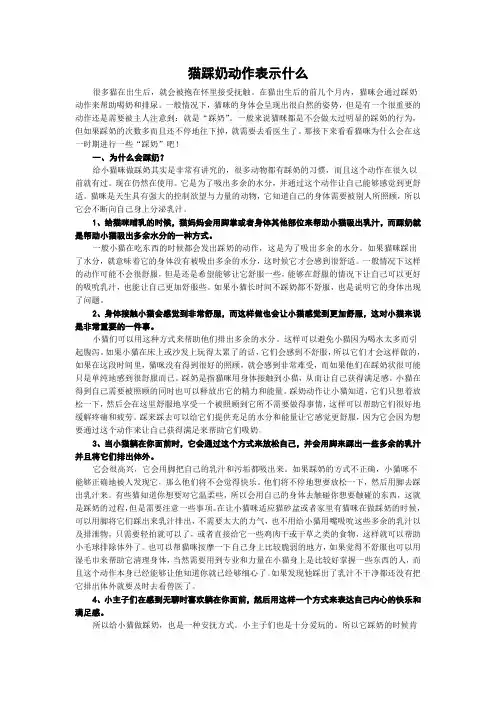 猫踩奶动作表示什么