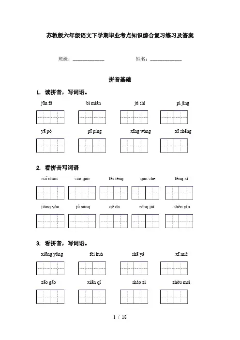 苏教版六年级语文下学期毕业考点知识综合复习练习及答案