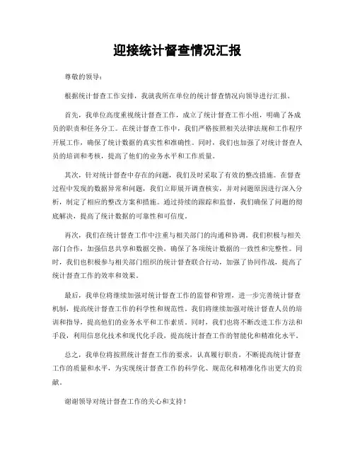 迎接统计督查情况汇报