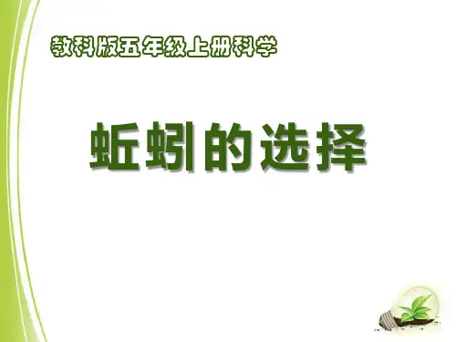 教科版五年级上册科学《蚯蚓的选择》生物与环境PPT说课教学课件学习