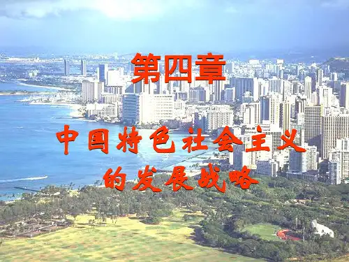 第四章 中国特色社会主义发展战略