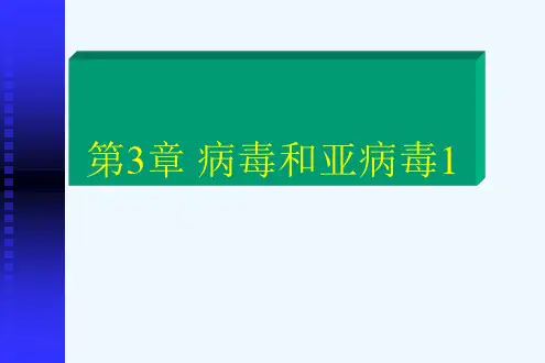第3章 病毒和亚病毒1[可修改版ppt]