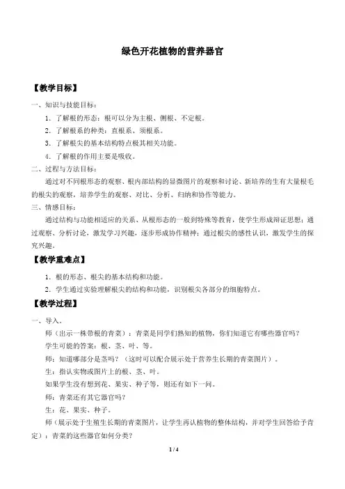 华师大版科学八年级上册：4.1 绿色开花植物的营养器官  教案