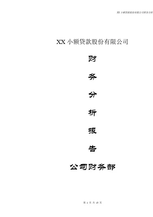 小额贷款公司财务分析报告