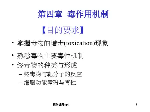 毒作用机制食品毒理
