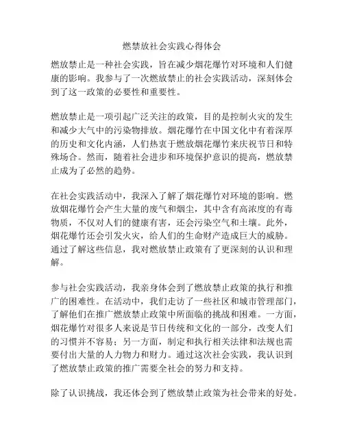 燃禁放社会实践心得体会