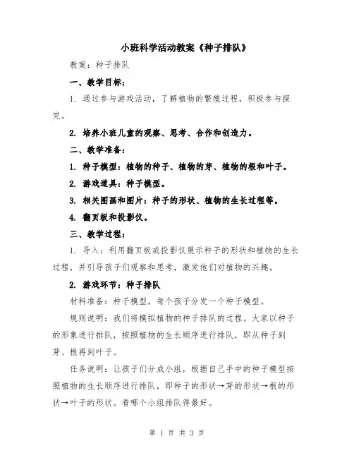 小班科学活动教案《种子排队》
