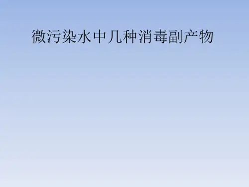 微污染水中几种消毒副产物