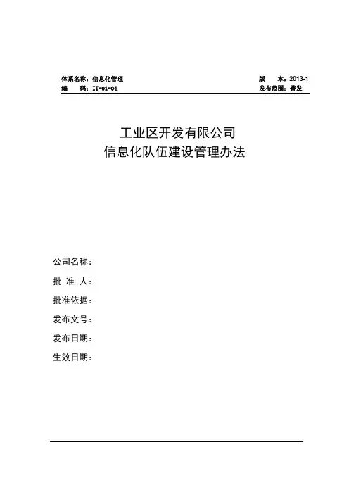 信息化队伍建设管理办法