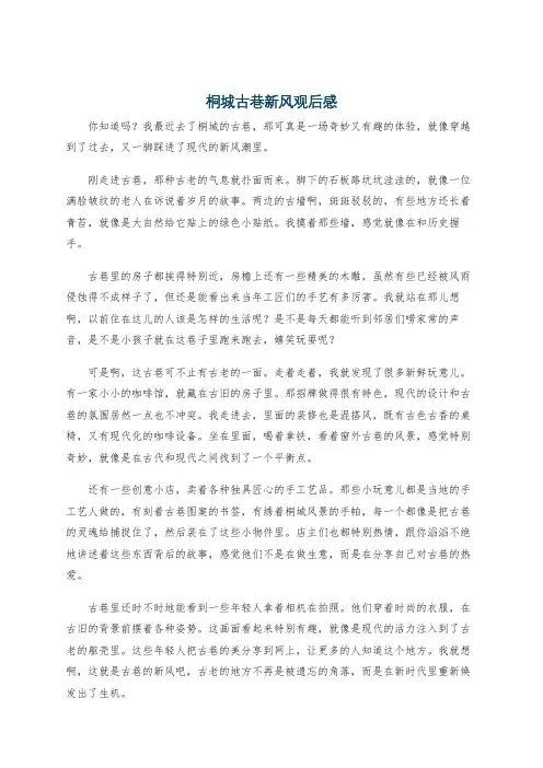 桐城古巷新风观后感