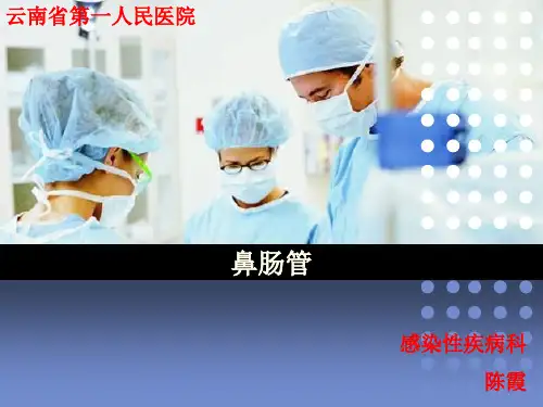 鼻肠管患者的护理