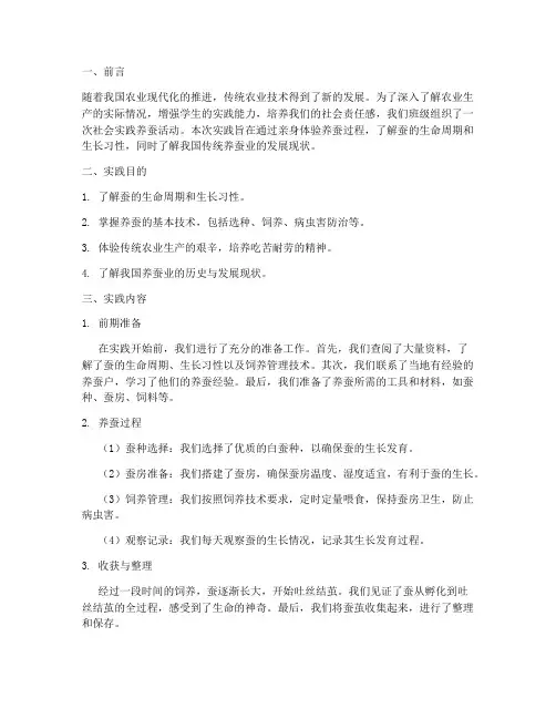 社会实践养蚕报告