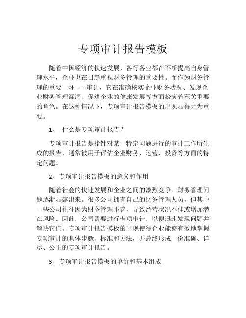 专项审计报告模板