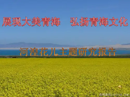 花儿ppt
