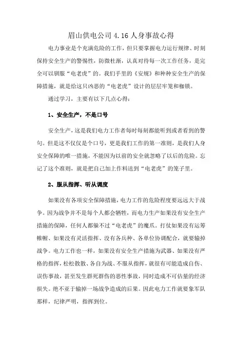 眉山供电公司4.16人身事故心得