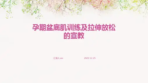 孕期盆底肌训练及拉伸放松的宣教PPT课件