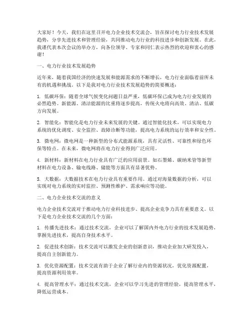电力企业技术交流会发言稿