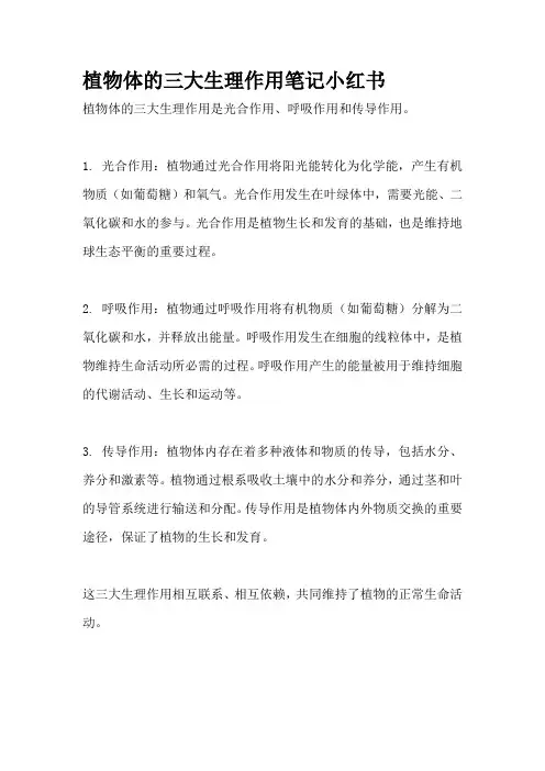 植物体的三大生理作用笔记小红书
