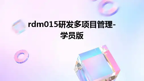 RDM015研发多项目管理-学员版