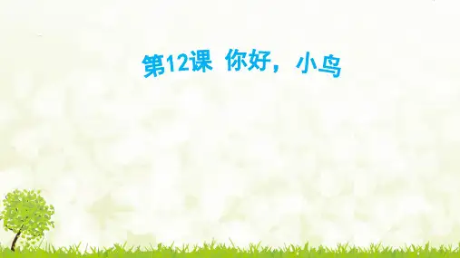 青岛版小学五年级下册信息技术《你好-小鸟》优教课件