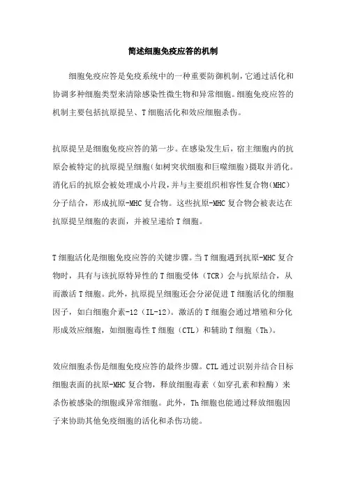 简述细胞免疫应答的机制