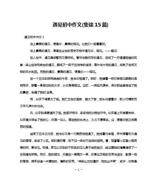 遇见初中作文(集锦15篇)