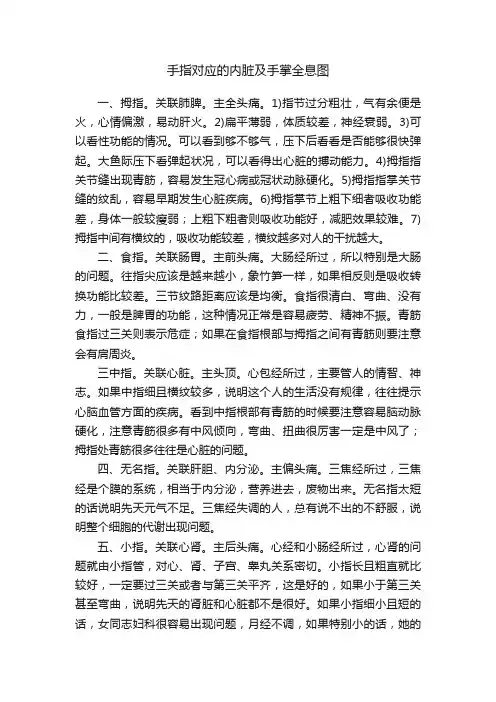 手指对应的内脏及手掌全息图