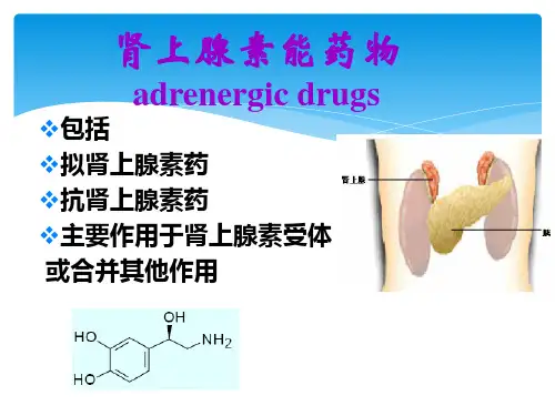作用于肾上腺素能受体药物