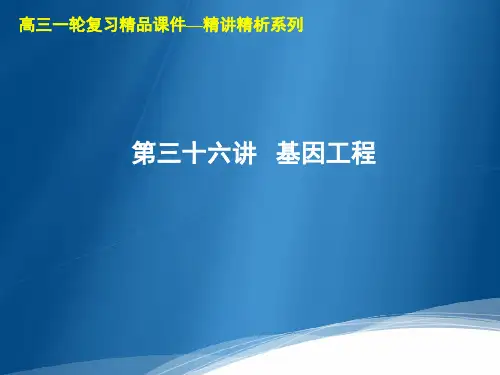 高三生物一轮复习精品课件1：第36讲  基因工程