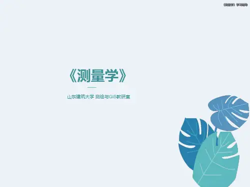 自动安平精密电子水准仪