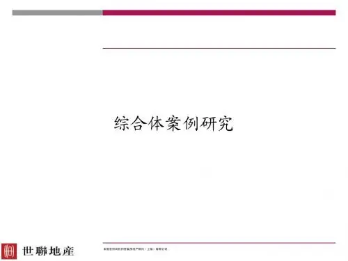 世联：综合体四种开发模式案例研究