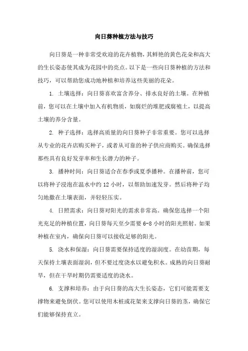 向日葵种植方法与技巧