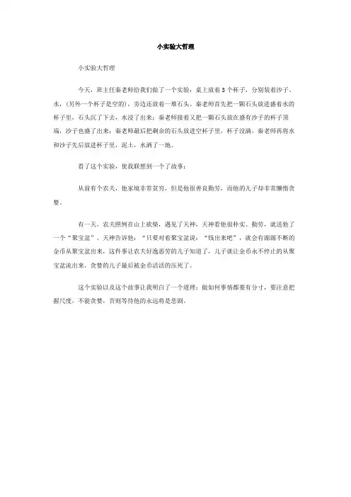 小实验大哲理作文