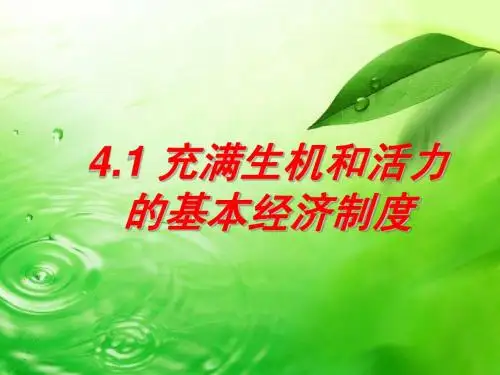 我国的基本经济制度