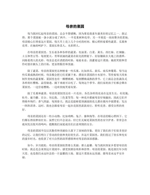 母亲的菜园
