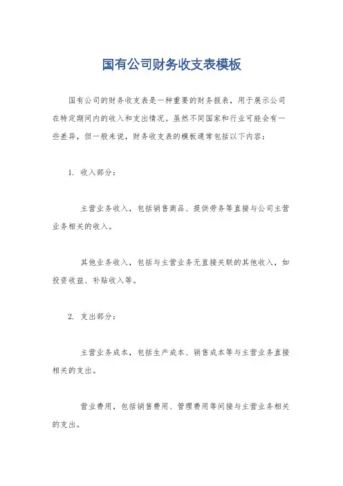 国有公司财务收支表模板