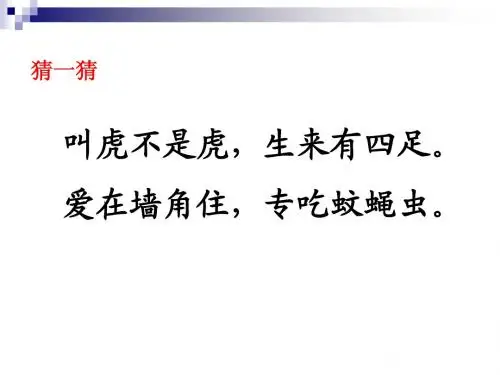 17小壁虎课件