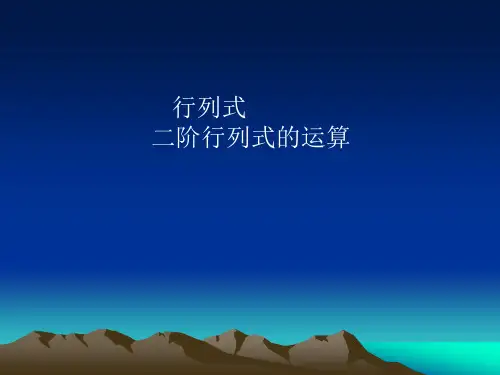 行列式的计算1(二阶行列式)
