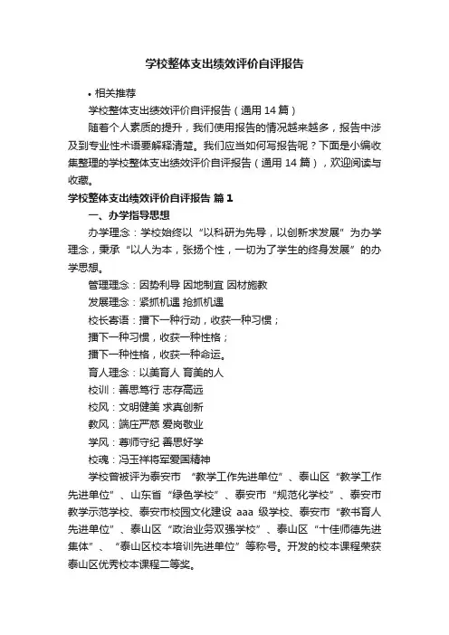 学校整体支出绩效评价自评报告