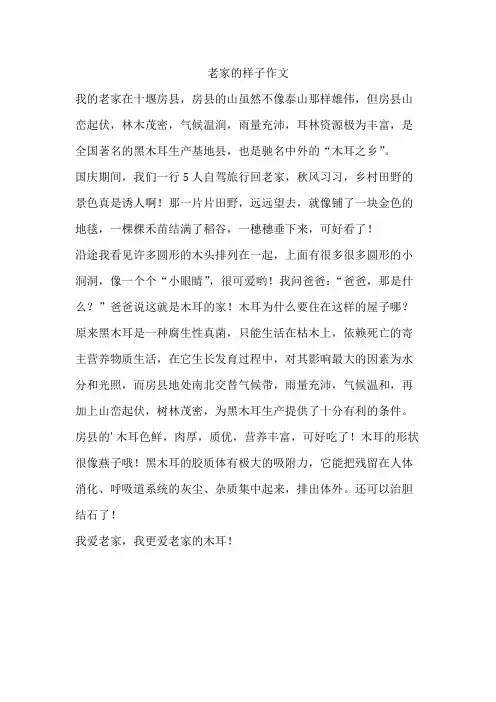 老家的样子作文