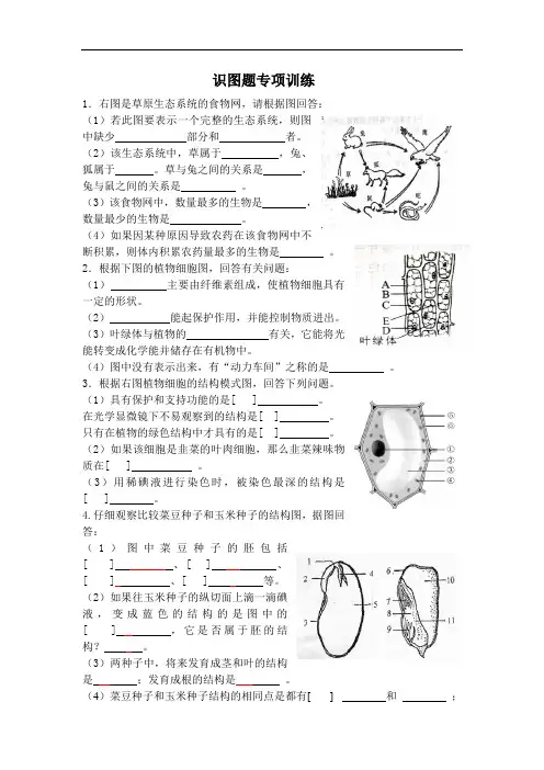 识图题专项练习