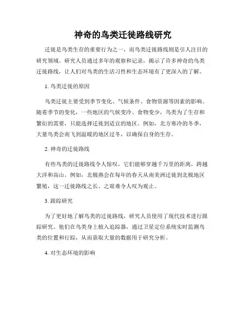 神奇的鸟类迁徙路线研究