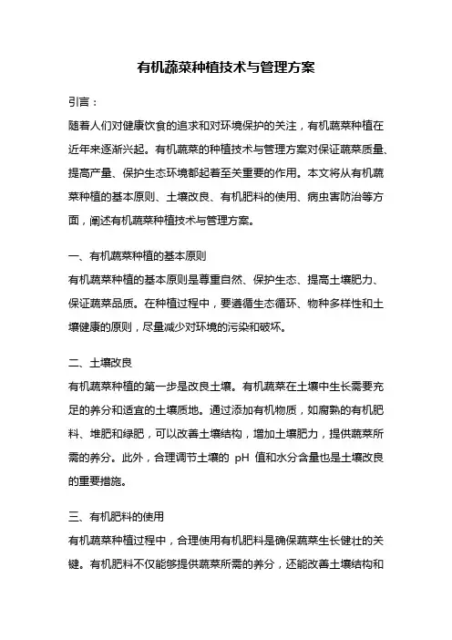 有机蔬菜种植技术与管理方案