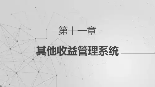 《收益管理》课件—11其他收益管理系统