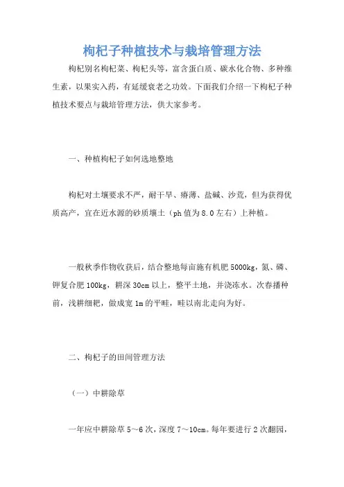 枸杞子种植技术与栽培管理方法