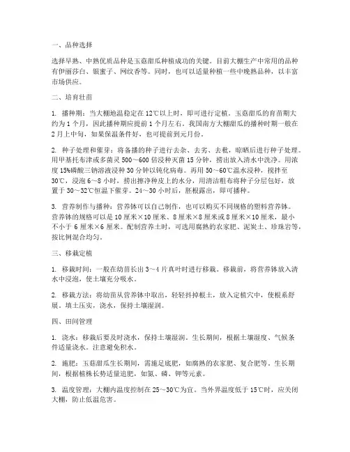 玉菇的种植管理技术