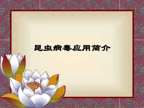 昆虫病毒简介 PPT课件