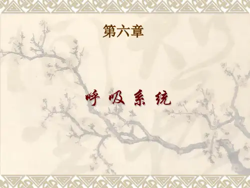人体解剖学3-呼吸系统