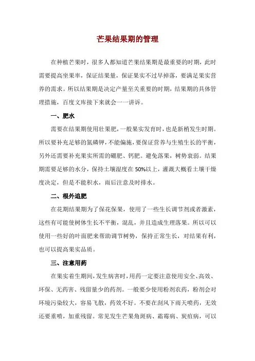 芒果结果期的管理