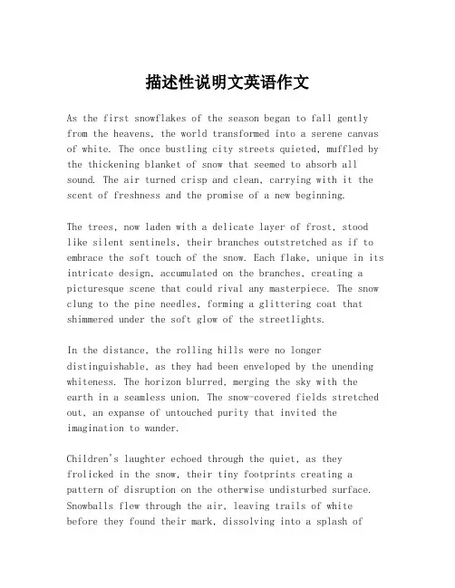 描述性说明文英语作文
